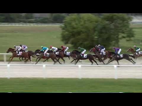 2020.07.26. 10. futam - MOKARRIS HENDIKEP (V/b.) (szintetikus pálya)