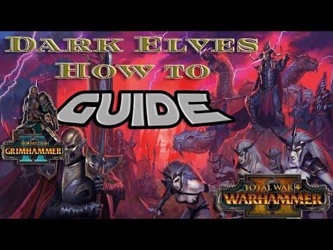 How to Play Dark Elves Total War Warhammer 2, SFO Grimhammer 2 Guide, Walkthrough for New Players