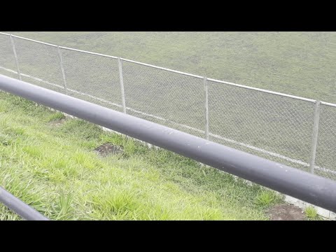 Lençoense X Sao Caetano - Sub 20