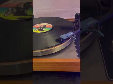 Ariston RD11S Turntable with Jelco SA750DB arm! image 5