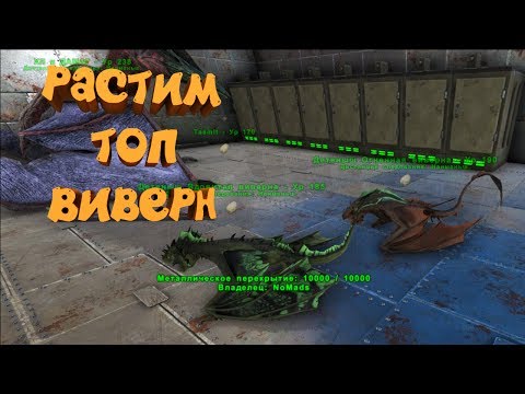 РАСТИМ ТОП ВИВЕРН! ПОЛНЫЙ ЦИКЛ РОСТА - ARK: RAGNAROK