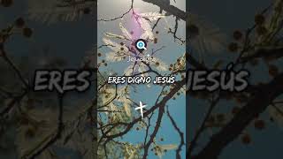Magnífico Rey | Marco Barrientos | Buscando a Jesucristo | Música Cristiana
