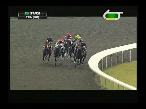 2013 Thoroughbred Club Of America Stakes - Judy The Beauty