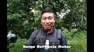 preview picture of video 'Rafflesia Mekar di Kawasan Hutan Taba Pananjung Bengkulu Tengah'