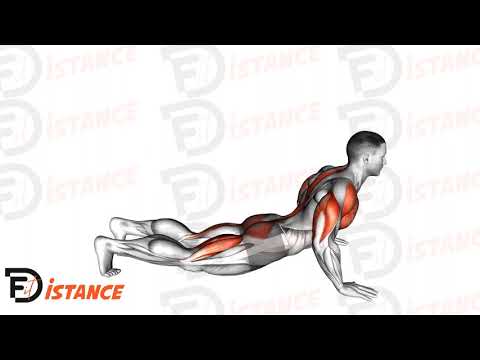 Exercice Pompes pike à position cobra