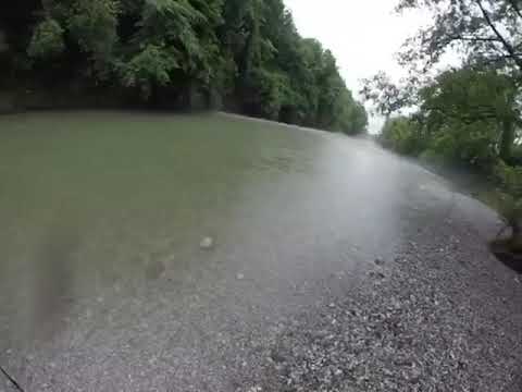 Trota Fario pescata a Vertova