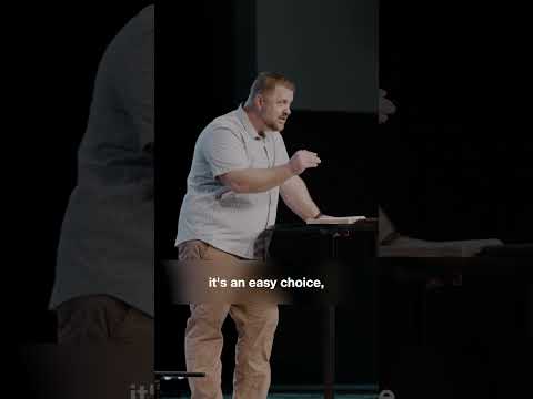 Work as Dictator // Genesis 1:26-28