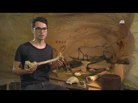 Unterrichtsmaterial: Der Neandertaler - Ein spektakulärer Fund - Schulfilm - Unterrichtsfilm
