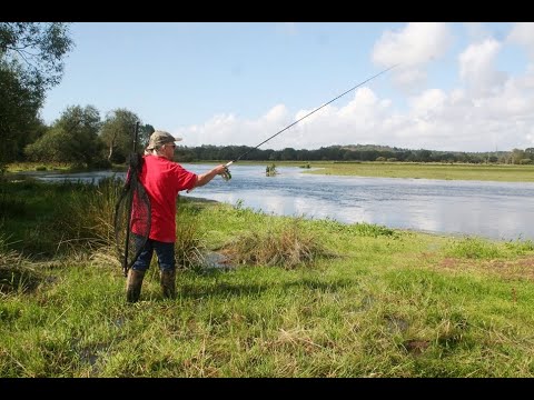Ray Walton - HAMPSHIRE AVON, DUDMOOR, HAMPSHIRE