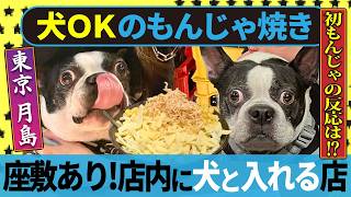 店内に犬と入れる！？月島のもんじゃ屋が最高だった🐶