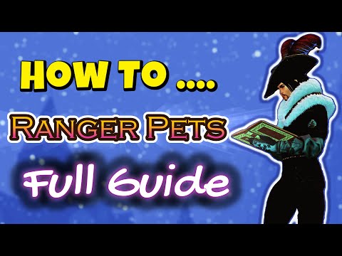 "How To Use Ranger Pets" The Complete Guide