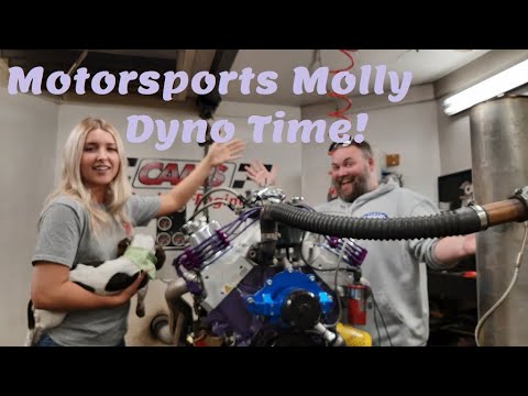 Motorsports Molly Dyno Day! Her new 410ci 351 Windsor based Mustang motor! From Lucore Automotive