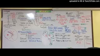 22) Dr. Wael Salah CRAO , CRVO