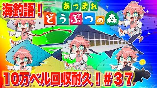 【あつまれどうぶつの森】出ベル10万いくまで終われま！ハイパー海釣語 IN あかきり島 ＃３７ 【にじさんじ / 赤城ウェン】