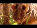 Jeff S Animal Adventures TV Series 5 Episode 12