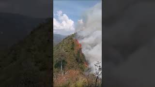 Tratan de sofocar incendio en Alta Verapaz