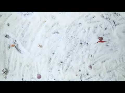 ~子甄彣璟~泥鰍 硬餌 路亞假餌 路亞餌 多節魚 魚餌 仿生餌 泳姿逼真 假魚 假餌 全泳層通殺