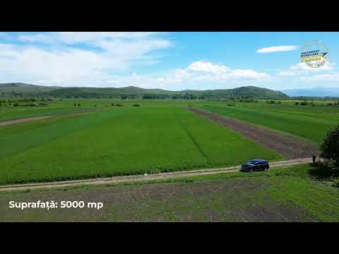FILM! Teren extravilan 5.000 mp in zona linistita cu acces facil, Bod, Brasov. — Video
