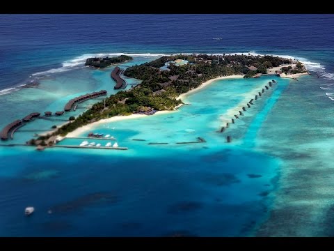 Мальдивы цена отдыха