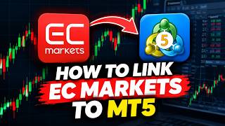 How to Link EC Markets to MT5