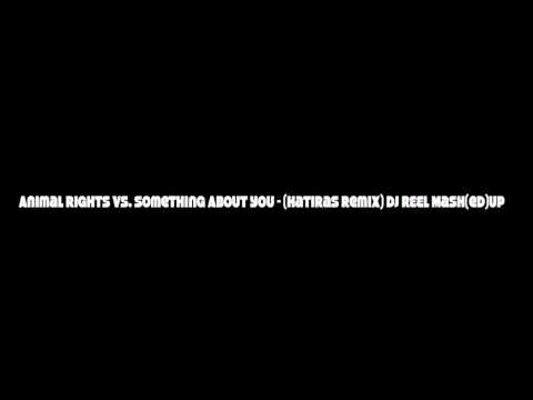 deadmau5 & Wolfgang Gartner vs Hatiras - Animal Rights vs. Something About You (mix(ed))