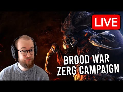 Brood War Zerg FINAL Campaign!
