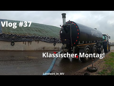 Vlog #37 Classic Monday. Driving cattle manure for the BGA.