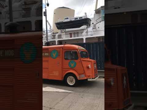 Stag Bites The Hog video.