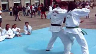 preview picture of video 'Demonstração de Taekwondo - Ginásio Cidade em Barcelos'