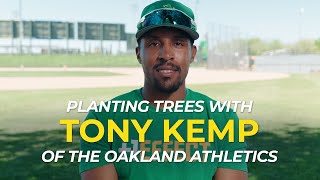 Planting Trees with Tony Kemp | One Tree Planted