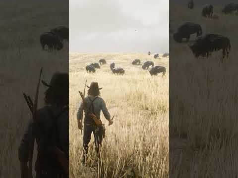 RDR 2 Wild West #198