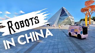 Video : China : Another view of ShenZhen 深圳