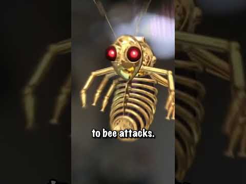 To survive in a bee swarm, you should do the following.