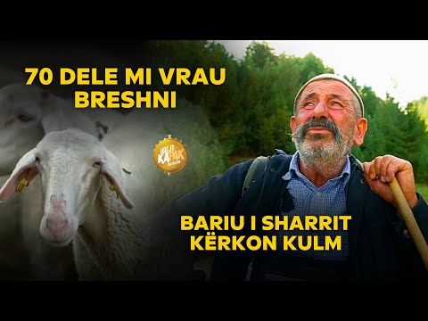 BARIU pa STAN e shtëpi MILIONËSHE në BREZOVICË /bariu ISMET ADEMI kërkon kulm në Malet e SHARRIT