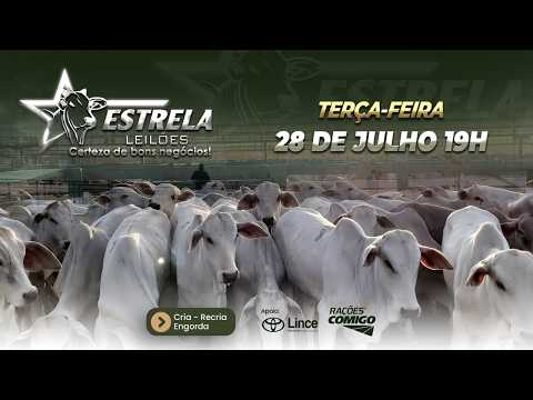 ESTRELA LEILÕES  - AO VIVO - 28/07/2026  -  19H - MORRINHOS - GOIÁS