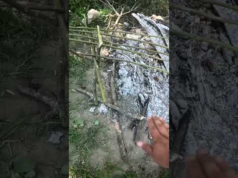 Pesca y Cocina en los Gomez, Tucumán #pesca #pescaycocina #dorados #pescaydevolucion #fishing