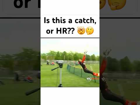 catch, or home run??