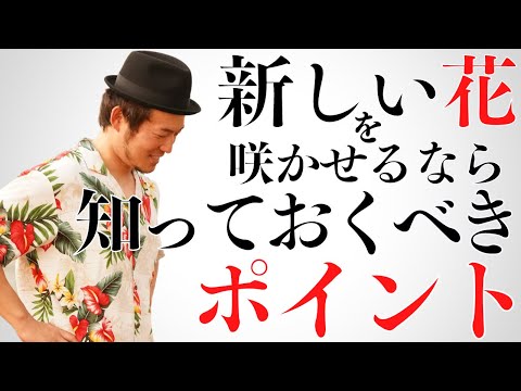 アンスリウムが一番嫌いなものは何ですか?培養シート  庭園