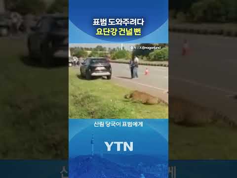 오해한 표범의 공격 #shorts / YTN