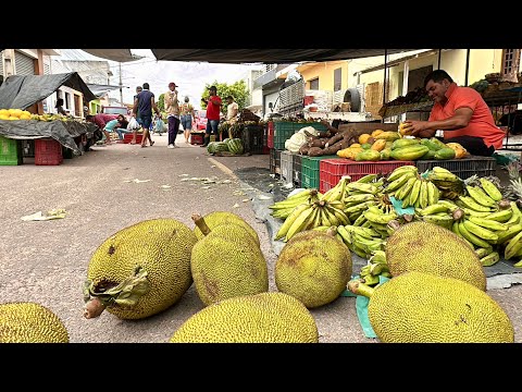 FEIRA LIVRE DE IBIRAJUBA-PE 27/03/2026#nordeste