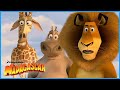 Family Reunite 🥹 DreamWorks Madagascar