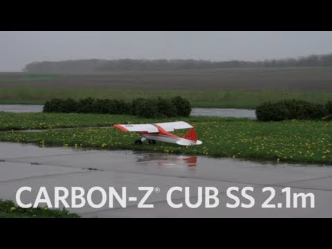 quick-look-eflite®-carbonz®-cub-ss-21m