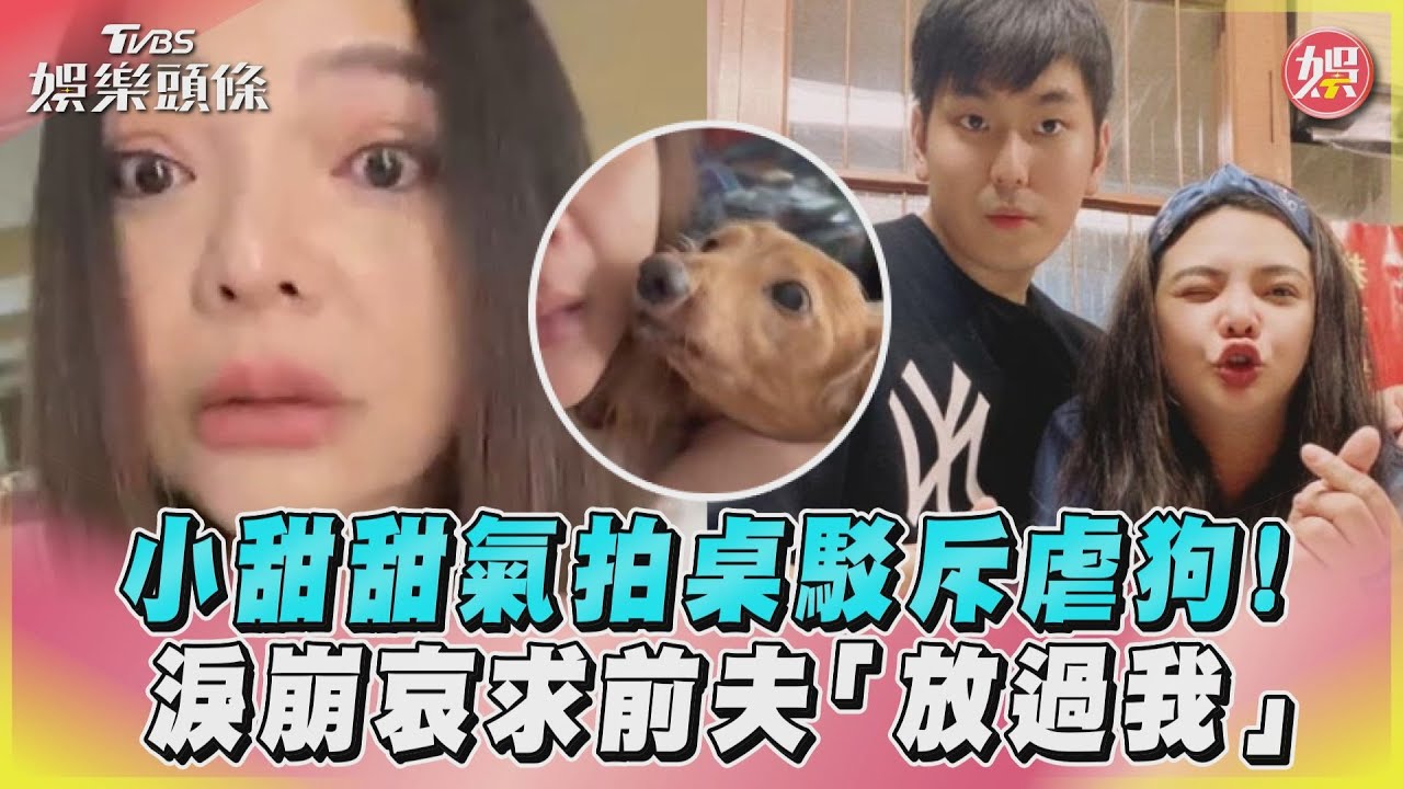 影音/小甜甜氣拍桌駁斥虐狗! 淚崩哀求前夫「放過我」