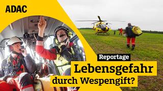Notfall im Wald: Wird der Wespenstich zur Lebensgefahr? I ADAC im Eins