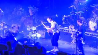 British Sea Power - Apologies To Insect Life (live at the Roundhouse, London)