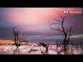 Chris Harvey - In Dreams With Betty (Markus Schulz ...