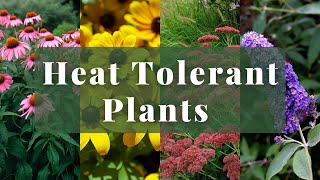 5 Plants That Look Great in the Sumer Heat! | EverCrest