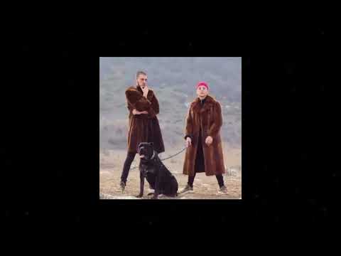 (FREE) V:RGO x EMIL TRF type beat "DA JIVEQ" | prod. Vix