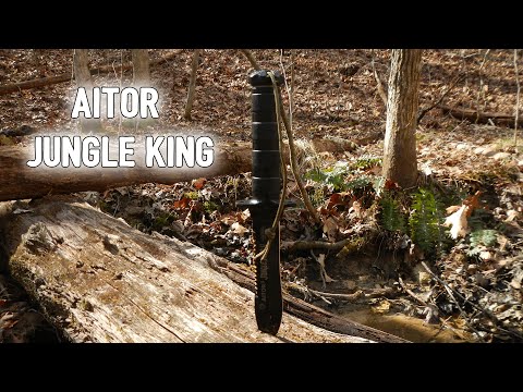 download lagu mp3 mp4 Aitor Jungle King, download lagu Aitor Jungle King gratis, unduh video klip Aitor Jungle King