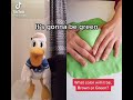 Donald Ducc POOP COLOR